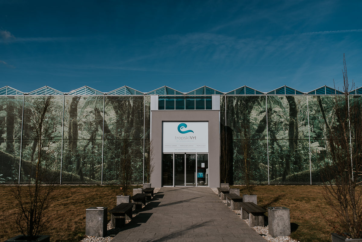 Ocean_Orchids_Poroka (0)