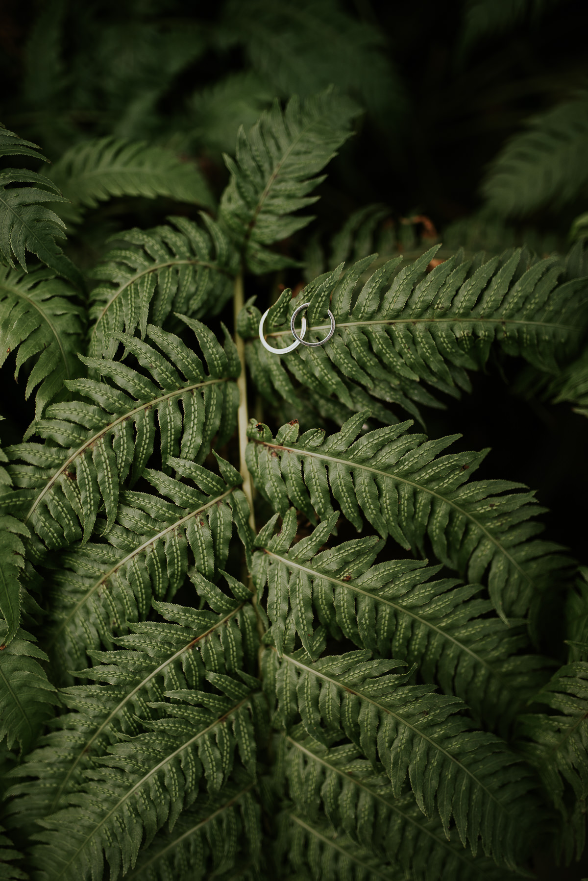 Ocean_Orchids_Poroka (9)