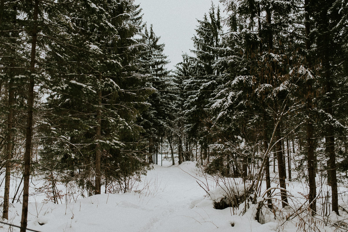 zimsko_fotografiranje (0)